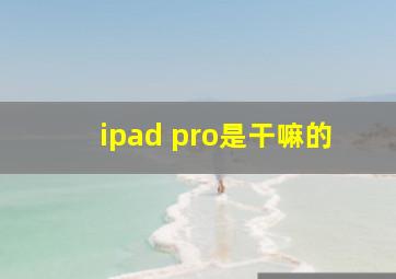 ipad pro是干嘛的